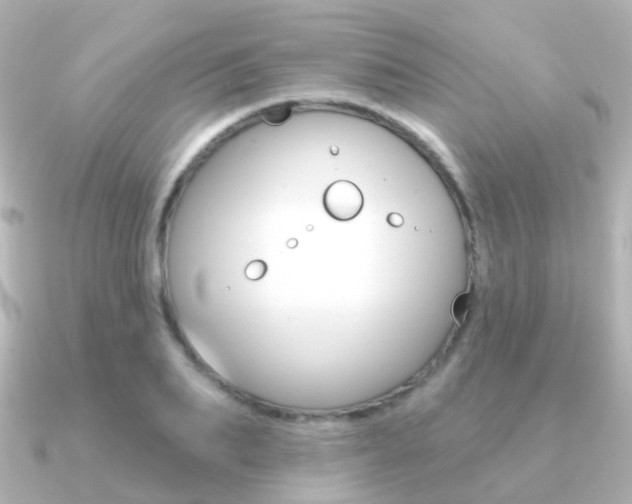 X0000091330887200708101000