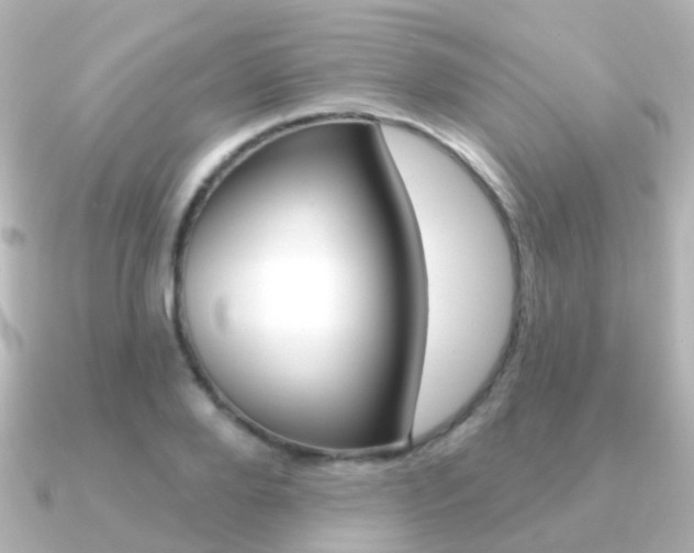 X0000091330888200708100959