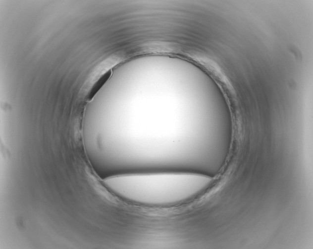 X0000091330889200708100959