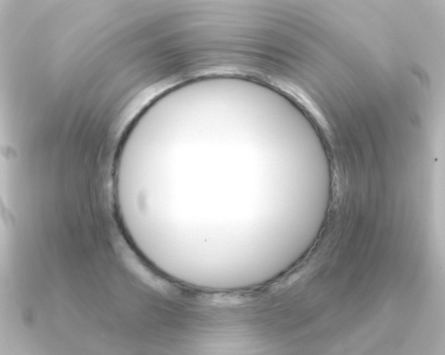 X0000091330890200708100959