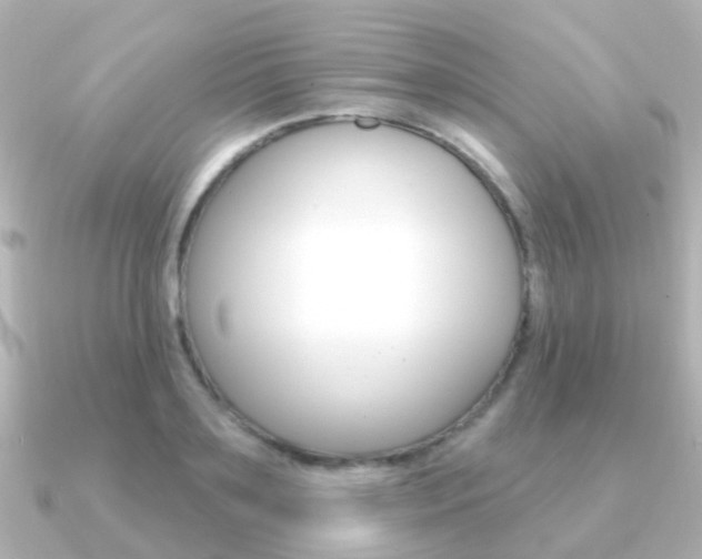 X0000091330891200708100959