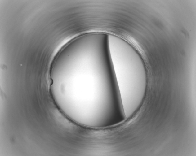 X0000091330892200708100959