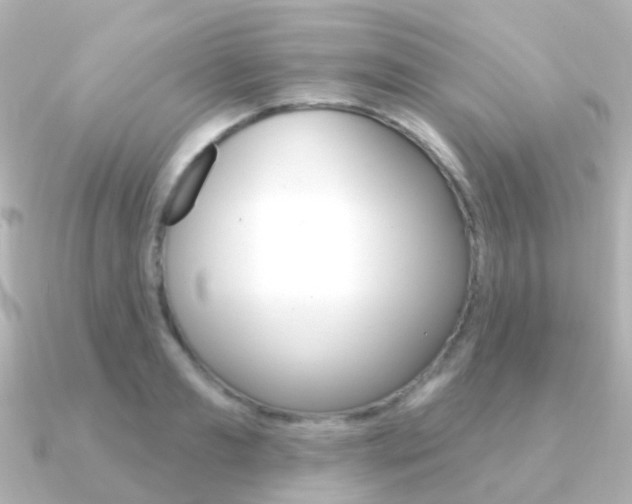 X0000091330893200708100959