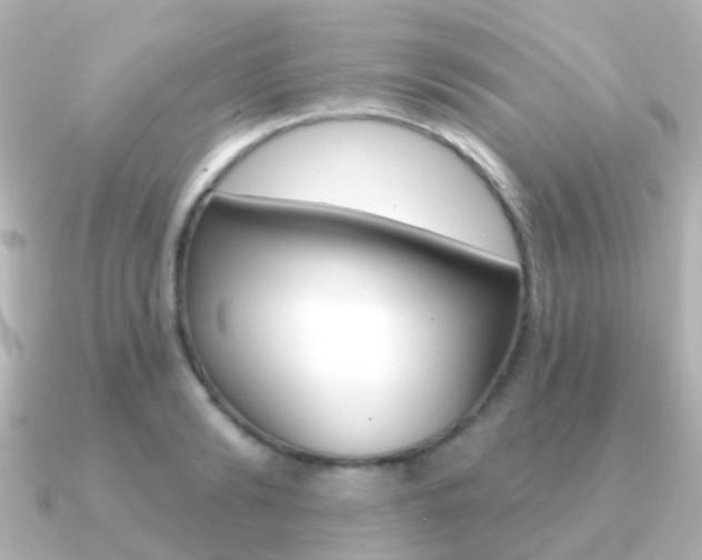 X0000091330894200708100959