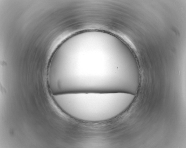 X0000091330895200708100959