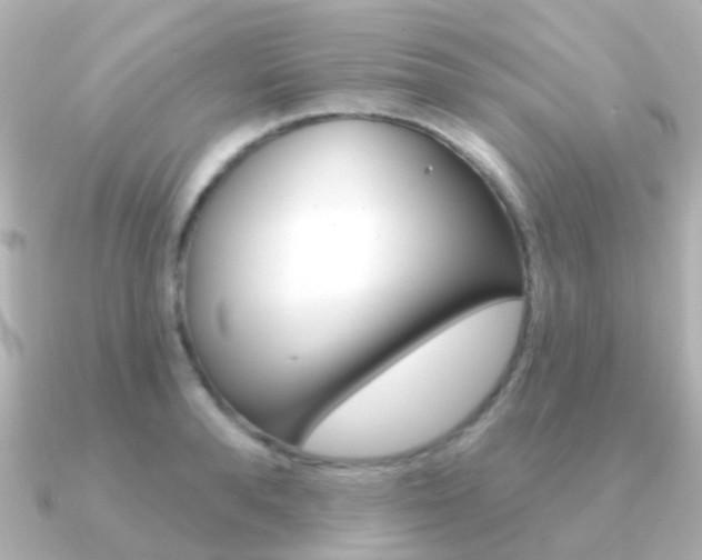 X0000091330896200708100959