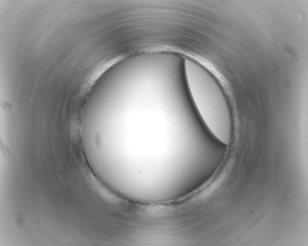 X0000091330897200708100959