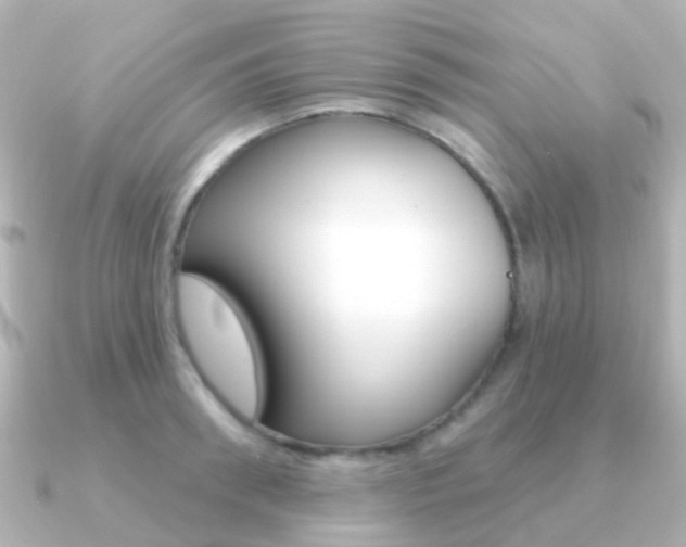 X0000091330898200708100959