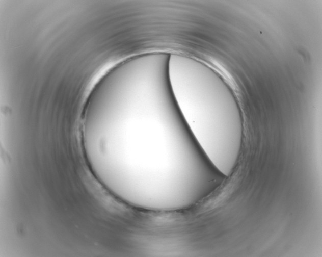 X0000091330899200708100959