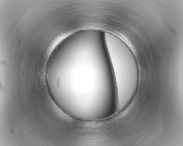 X0000091330901200708100959