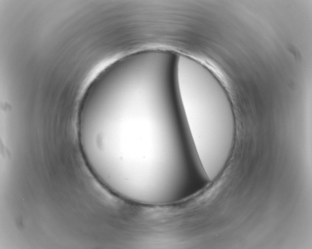 X0000091330902200708100959