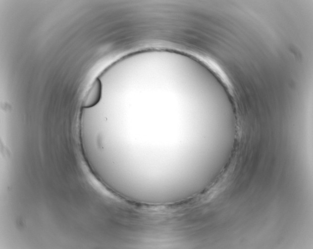 X0000091330903200708100959
