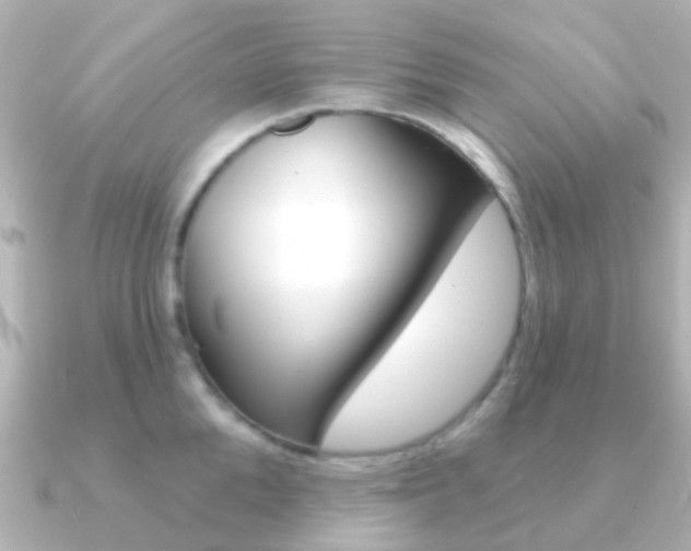 X0000091330904200708100959