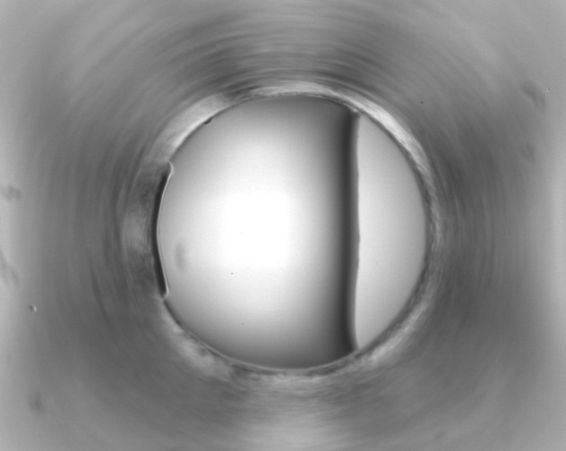X0000091330905200708100959