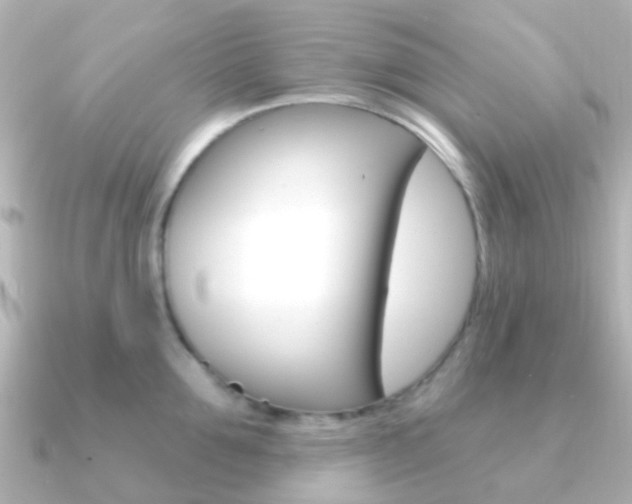 X0000091330907200708100959