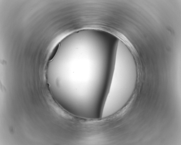 X0000091330908200708100959