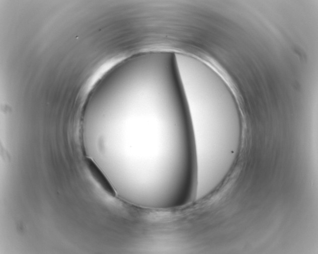 X0000091330909200708100959
