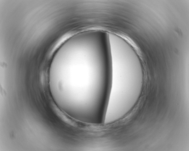 X0000091330910200708100959