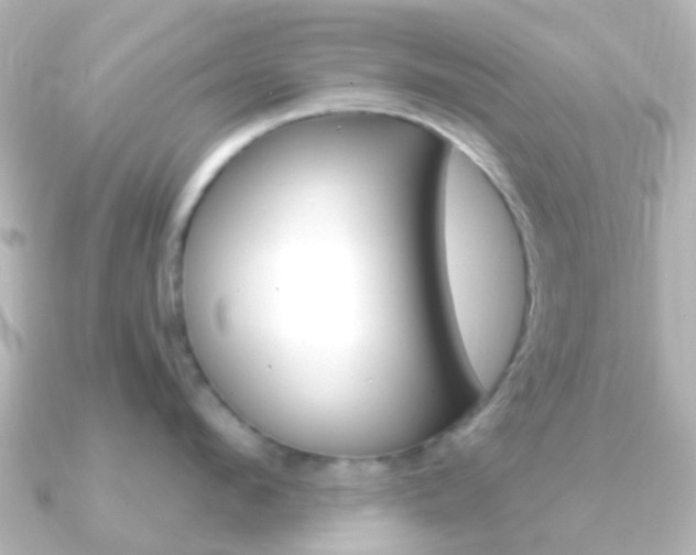 X0000091330912200708100959