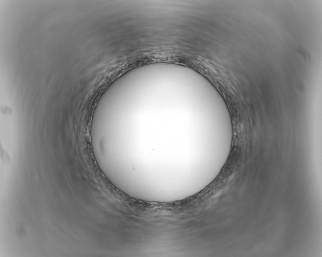 X0000091330913200708100959