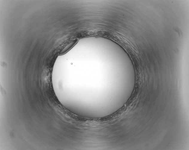 X0000091330914200708100959