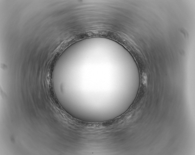 X0000091330915200708100959