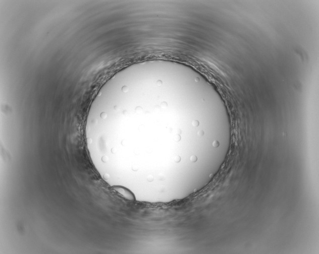 X0000091330917200708100959