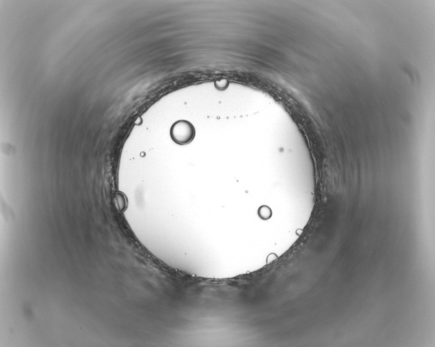X0000091330918200708100959