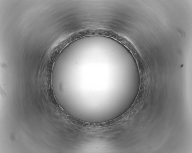 X0000091330919200708100959