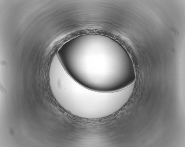 X0000091330920200708100959