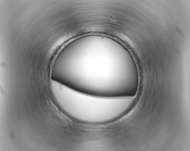 X0000091330922200708100959