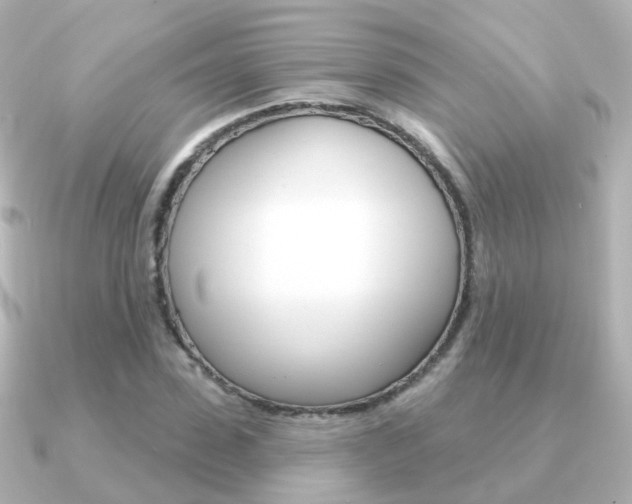 X0000091330923200708100959