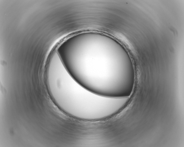 X0000091330924200708100959
