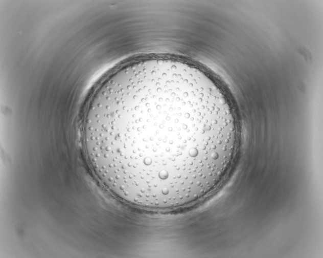 X0000091330925200708100959