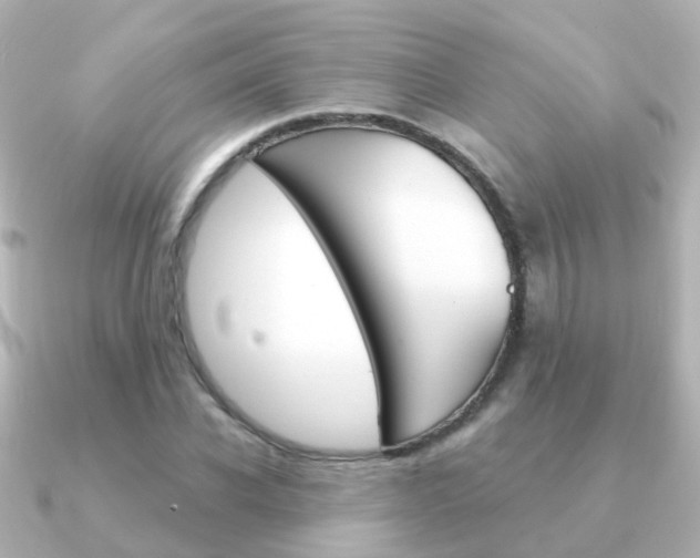 X0000091330926200708100959