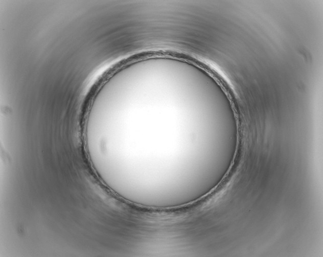 X0000091330927200708100959