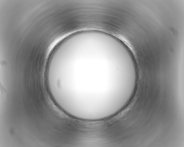 X0000091330928200708100959