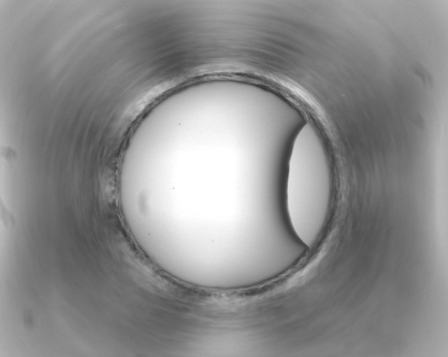 X0000091330929200708100959