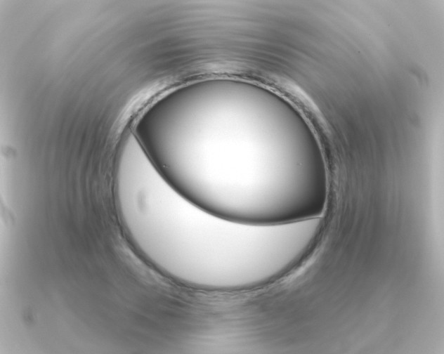 X0000091330930200708100959