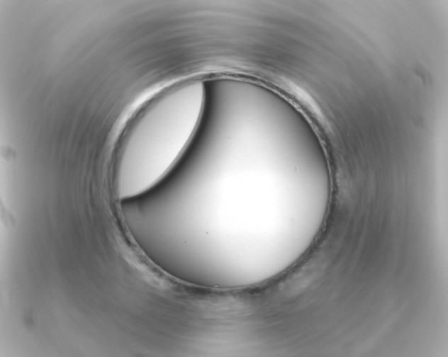 X0000091330931200708100959
