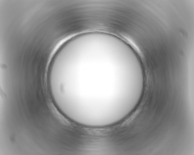 X0000091330932200708100959