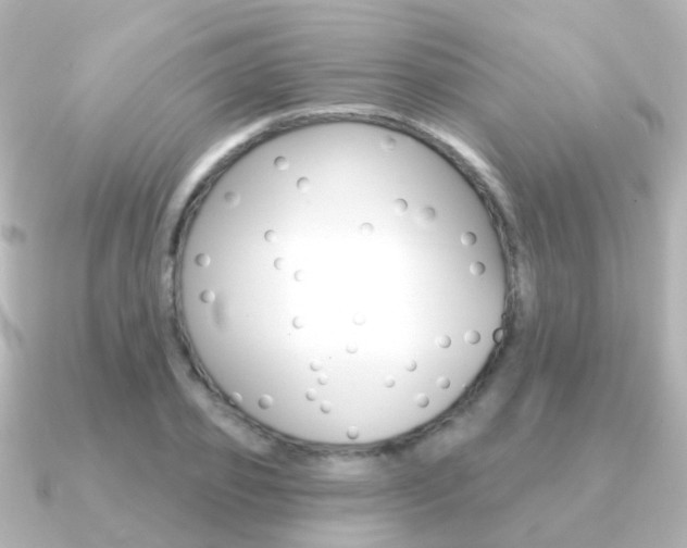 X0000091330933200708100959