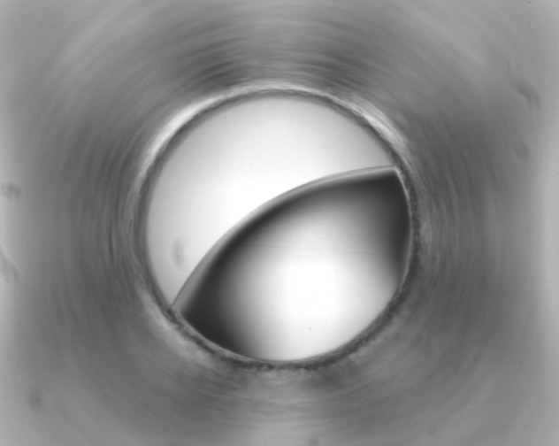 X0000091330934200708100959