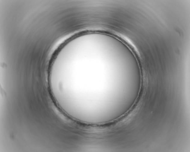 X0000091330935200708100959