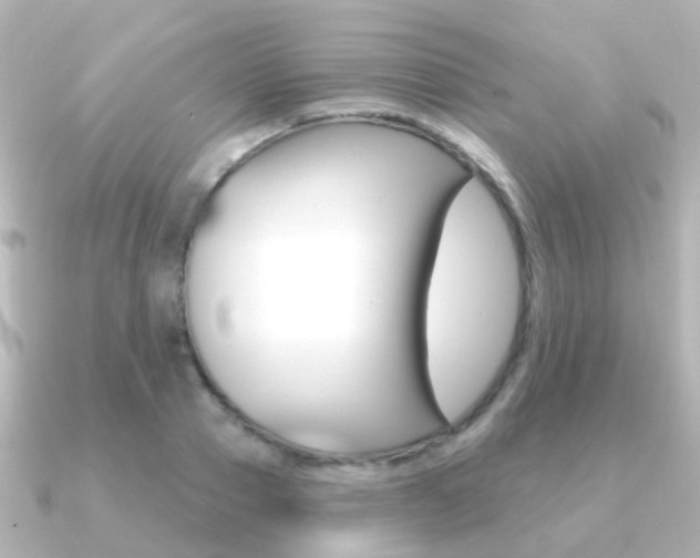 X0000091330937200708100959
