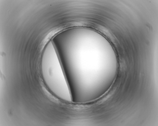 X0000091330938200708100959