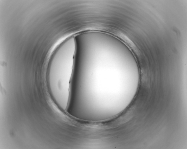 X0000091330939200708100959