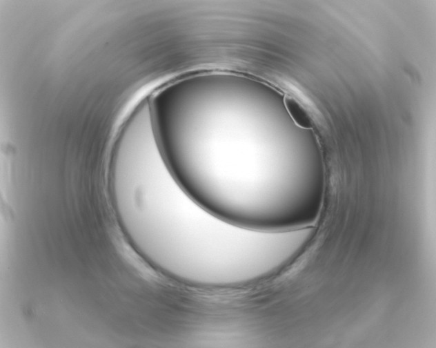 X0000091330940200708100959