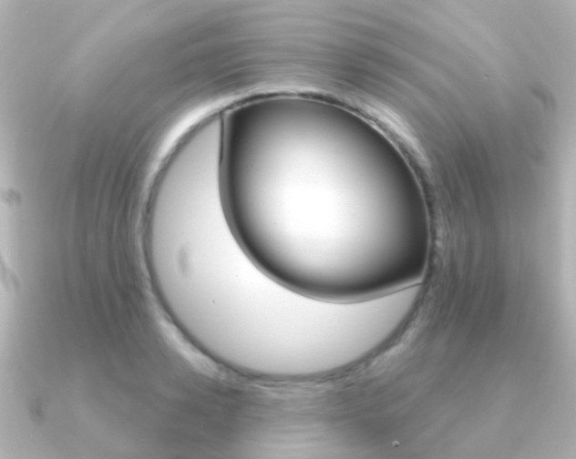 X0000091330942200708100959