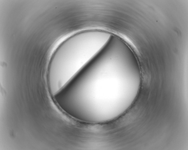 X0000091330943200708100959